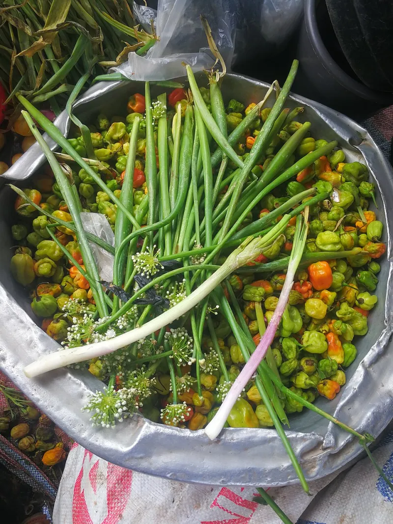 Lentereiniging: wat uw lichaam echt doet als de dagen langer worden — en wat detoxproducten u niet vertellen