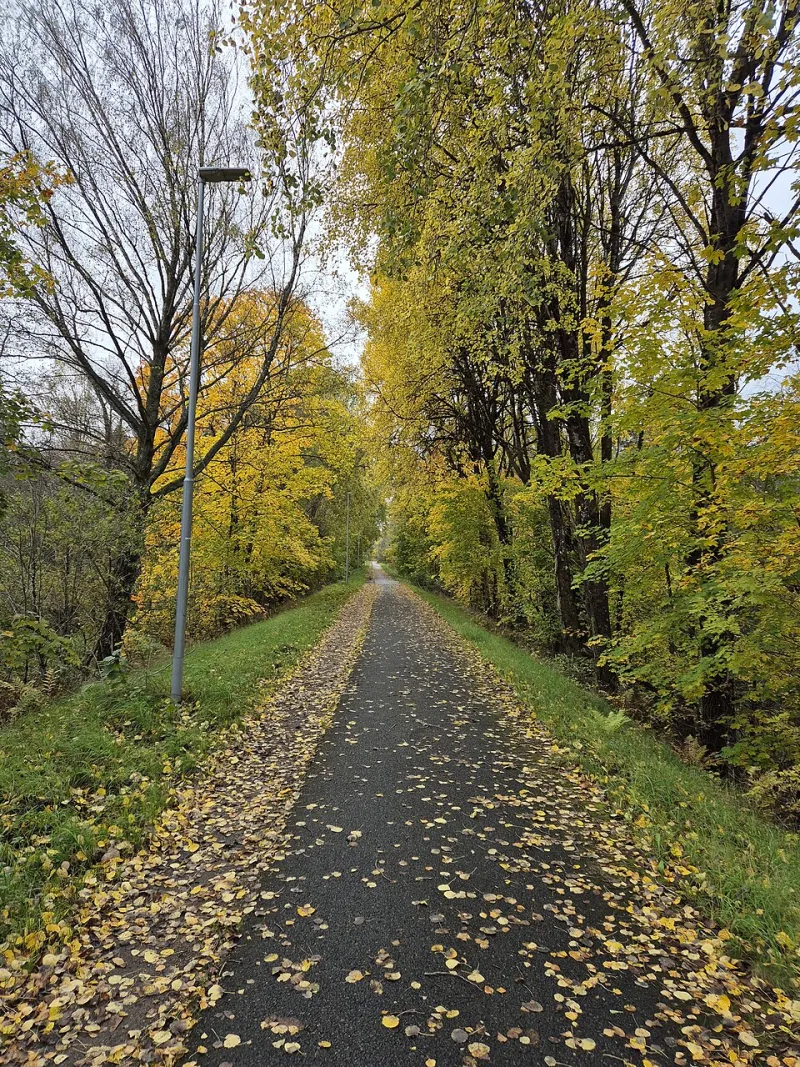 Wat de herfst met uw biologie doet: hormonen, afweer en de klok die omschakelt